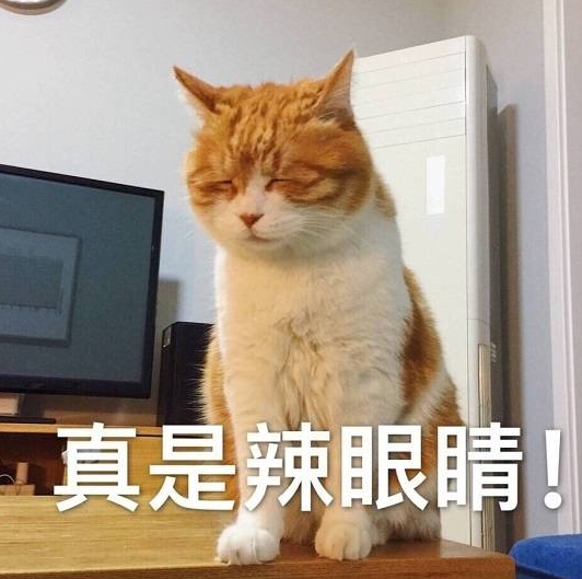 女子忘记关狗笼,担心10多万的红木家具被啃,急忙回家后不忍直视 女子忘记关狗笼,担心10多万的红木家具被啃,急忙回家后不忍直视