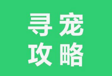 宠出没 · 寻宠攻略｜20件寻狗&寻猫必做的事，找回率飙升