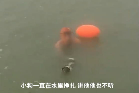 安徽一男子多次将狗闷在河水中挣扎，可恶至极！