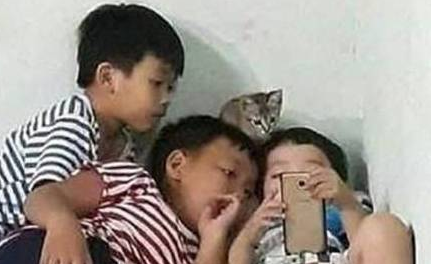家里三个小鬼头在看手机,头顶却有只小猫在围观,真以为能看懂呢