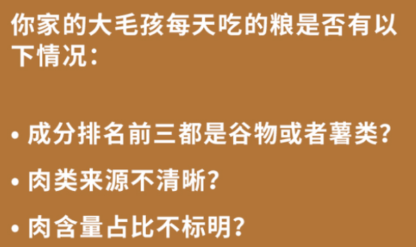 中大型犬真的不配吃好狗粮？深入探访宠率狗粮的由来！