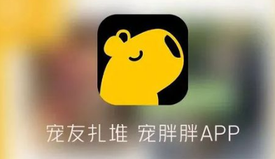 宠胖胖怎么和小狗对话 宠胖胖怎么和小狗对话