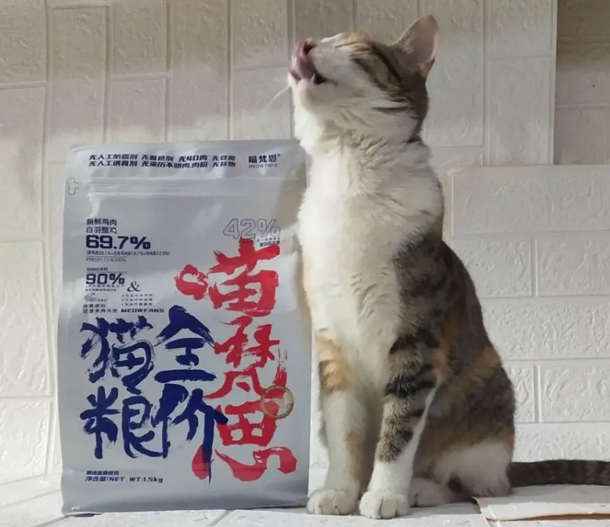 喵梵思老王在哪里直播
