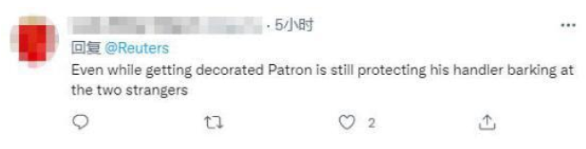 当着特鲁多,泽连斯基表彰这条杰克罗素梗 当着特鲁多,泽连斯基表彰这条杰克罗素梗