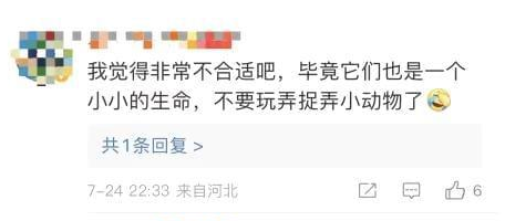 动物娃娃机,宠物盲盒……漠视生命的创新营销,请住手! 动物娃娃机,宠物盲盒……漠视生命的创新营销,请住手!