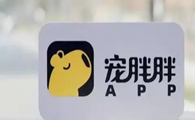 宠胖胖app盈利模式