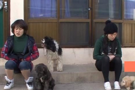 狗狗因为争宠经常离家出走，主人从村头追到村尾都累趴了！