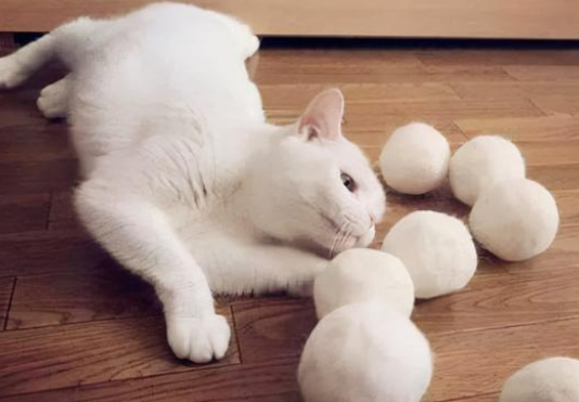 猫咪吐黄水是怎么回事 猫咪吐黄水是怎么回事