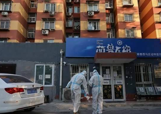 萌兽医馆荣获上海市先进民营企业称号 萌兽医馆荣获上海市先进民营企业称号