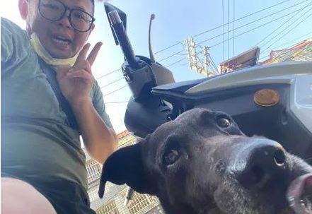 网友在路边回信息,结果被狗子强迫搭霸王车:不认识你呀! 网友在路边回信息,结果被狗子强迫搭霸王车:不认识你呀!