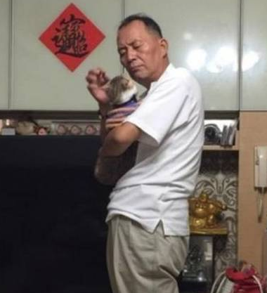 又一个爸爸被喵星人收服了,当初是谁说的,这种野猫不要养啦! 又一个爸爸被喵星人收服了,当初是谁说的,这种野猫不要养啦!