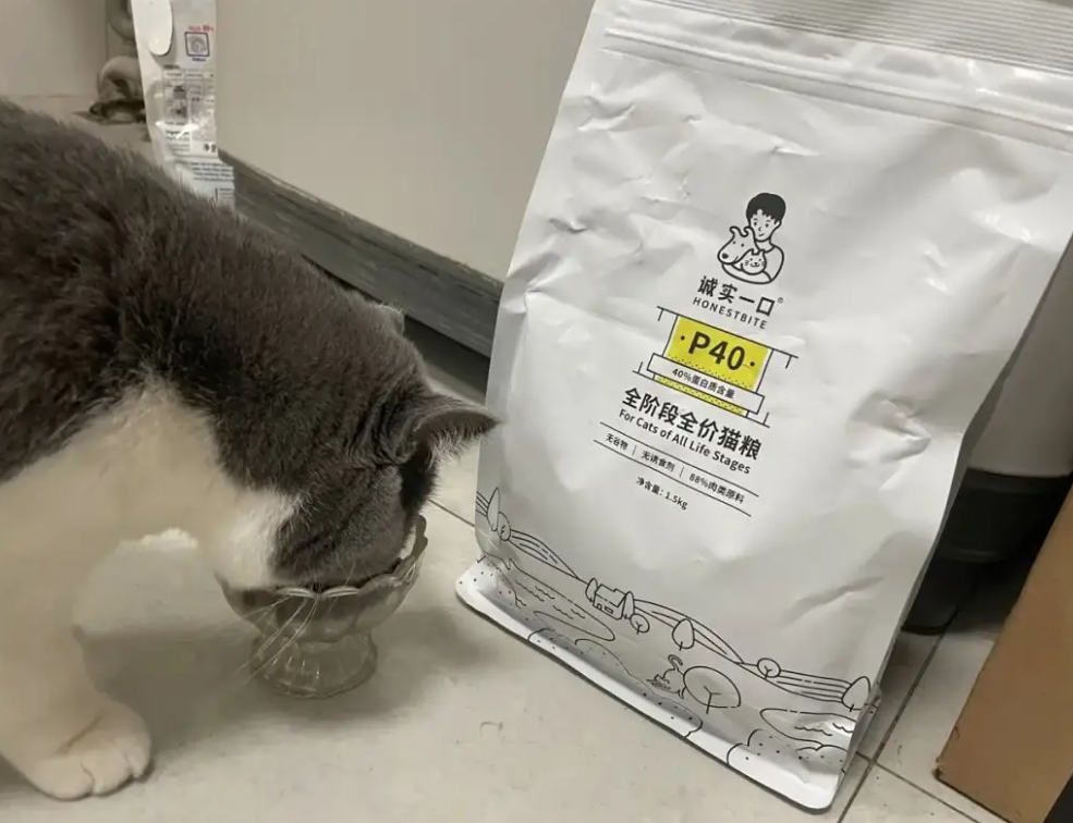 诚实一口猫粮到底怎么样
