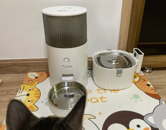 鸟语花香喂食器好不好