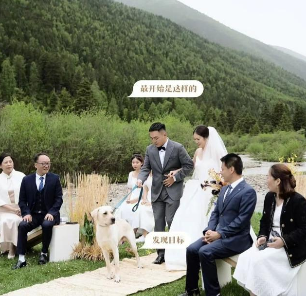 “狗在婚礼上抢走了我老公”,网友婚礼现场发生意外,笑翻了 “狗在婚礼上抢走了我老公”,网友婚礼现场发生意外,笑翻了