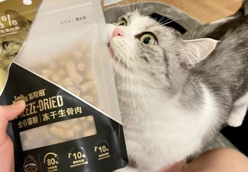 富粒滋冻干生骨肉,高能营养助力猫咪成长 富粒滋冻干生骨肉,高能营养助力猫咪成长