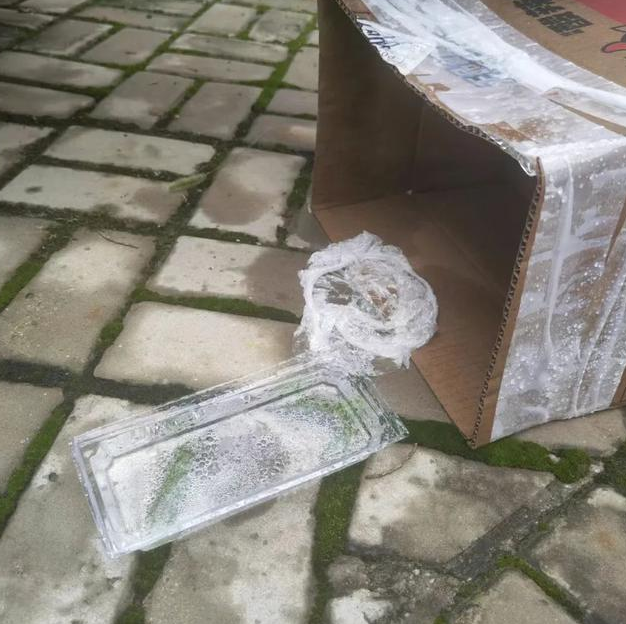 流浪小奶猫守护去世母猫,无助的样子让人心疼:我以后没有妈妈了 流浪小奶猫守护去世母猫,无助的样子让人心疼:我以后没有妈妈了