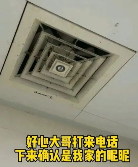 猫咪走丢36天后被找到,体重降了整整4斤:再也不要分开了 猫咪走丢36天后被找到,体重降了整整4斤:再也不要分开了