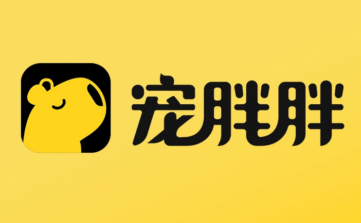 宠胖胖怎么才能打开宠物翻译器