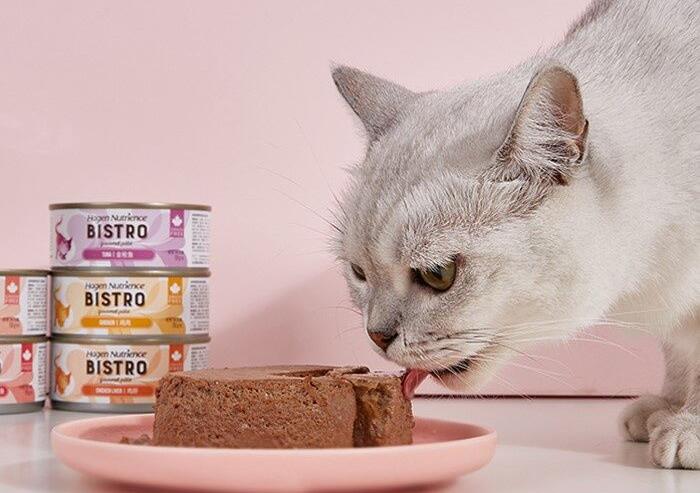 哈根纽翠斯猫罐头好不好 哈根纽翠斯猫罐头好不好