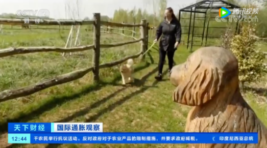 太贵了养不起！“绅士之国”人设崩塌，英国遭遗弃的宠物成倍增加！