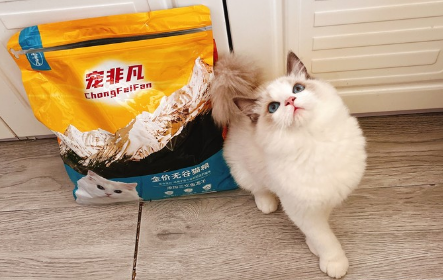 宠非凡猫粮怎么样