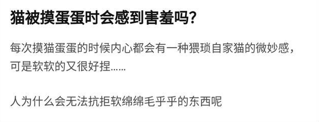 我家猫是个“露蛋狂魔”,现场已经控住不住了··· 我家猫是个“露蛋狂魔”,现场已经控住不住了···