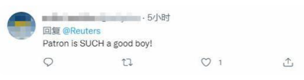 当着特鲁多,泽连斯基表彰这条杰克罗素梗 当着特鲁多,泽连斯基表彰这条杰克罗素梗