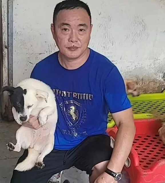 江西人民教师救助500多老弱病残毛孩子，如今断粮，谁来帮帮它们！
