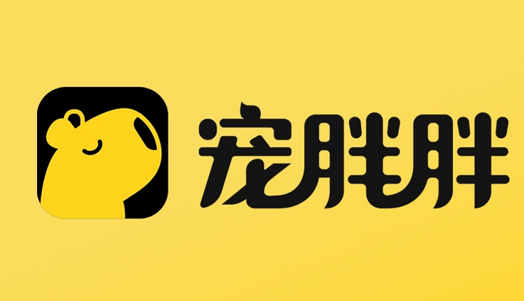 宠胖胖翻译器在哪里