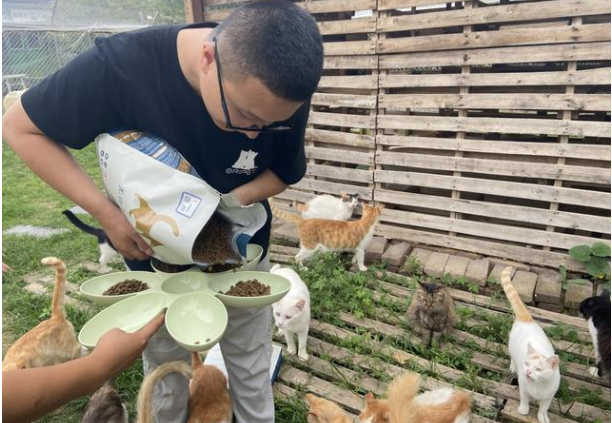 “原本50g公益”，让流浪猫不再风餐露宿