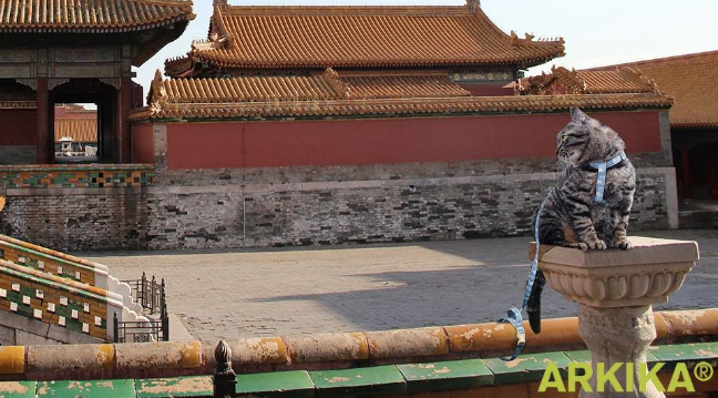 不负春光，三月的ARKIKA有诗也有远方