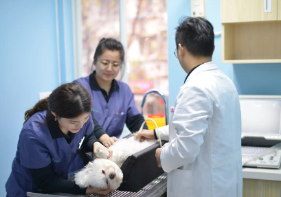 萌兽医馆是私企吗 萌兽医馆是私企吗