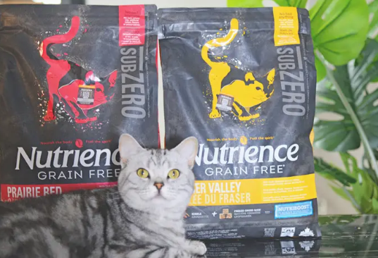 哈根纽翠斯猫粮排名第几