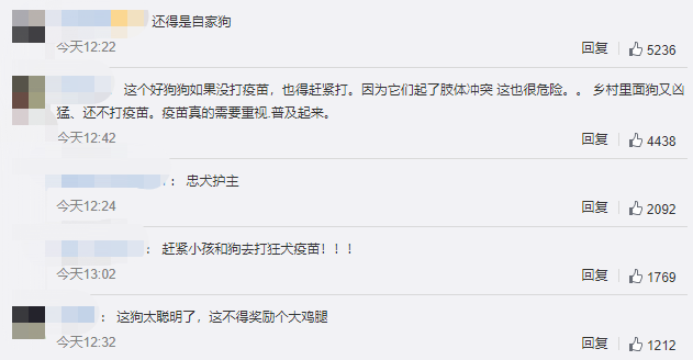 疯狗扑咬幼童，家犬冲上前将其赶跑，犬主：养了7年很有灵性