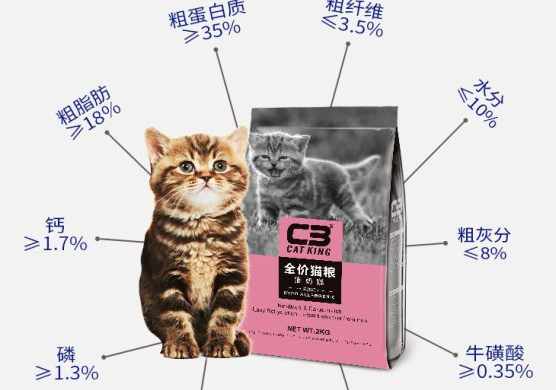 城市名猫展｜C3帕缇朵杯国际名猫文化主题巡回展闪耀青岛，强势打卡！