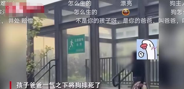 宠物狗扑倒一岁小孩，父亲怒将狗摔死，狗主人：我孩子死了