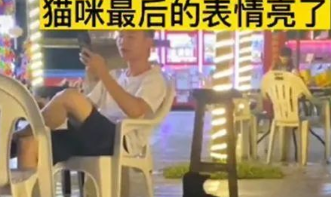 小伙坐在椅子上吃烤肠，1只流浪猫蹲在旁边：可以给我点吃的吗