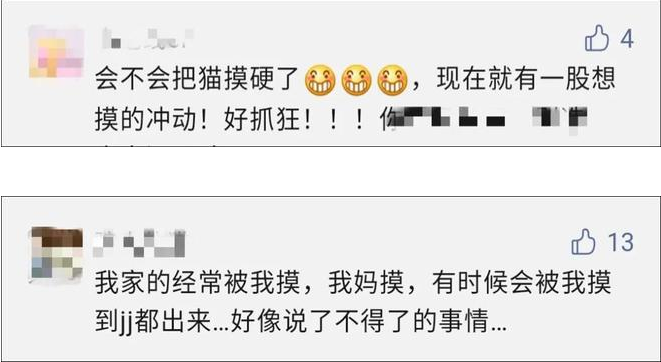 我家猫是个“露蛋狂魔”,现场已经控住不住了··· 我家猫是个“露蛋狂魔”,现场已经控住不住了···
