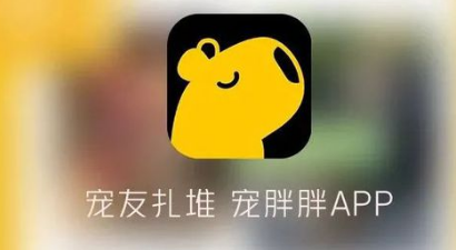 宠胖胖靠谱吗