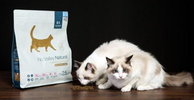 原本猫粮,我来告诉你为什么要选他! 原本猫粮,我来告诉你为什么要选他!