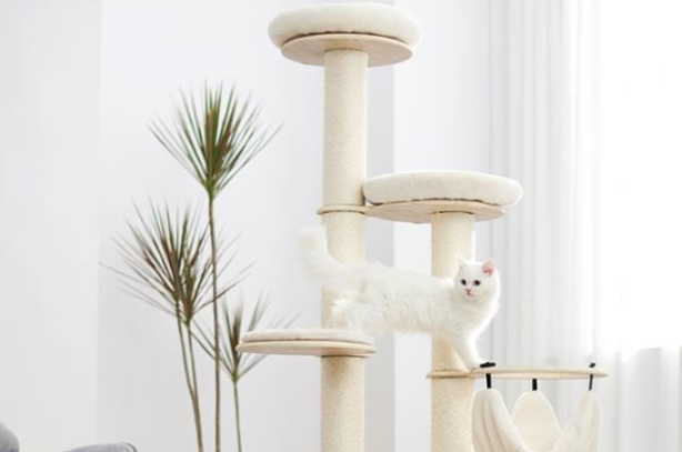 兽牌猫爬架好不好 兽牌猫爬架好不好
