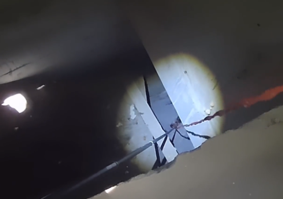 连续救了2次小猫之后,原本对小哥凶巴巴的流浪猫连小猫都不要了 连续救了2次小猫之后,原本对小哥凶巴巴的流浪猫连小猫都不要了