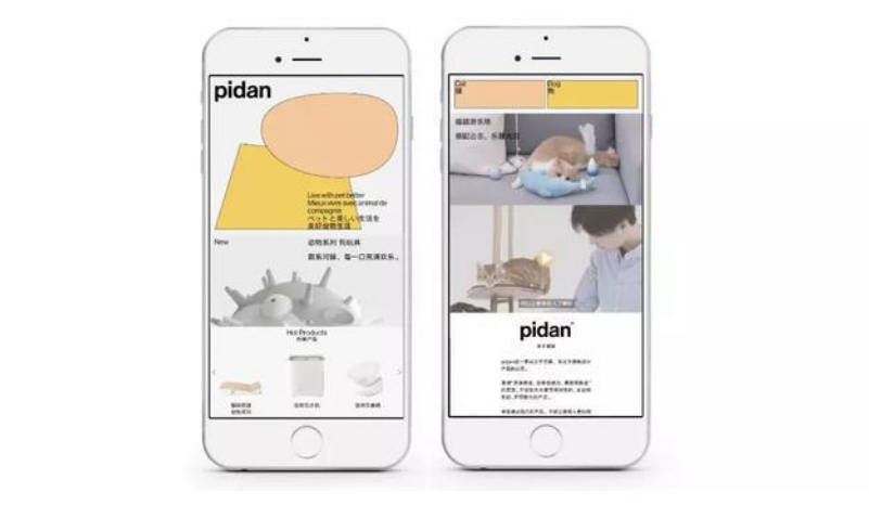 pidan品牌形象升级,拓充新品类,诠释“美好宠物生活” pidan品牌形象升级,拓充新品类,诠释“美好宠物生活”