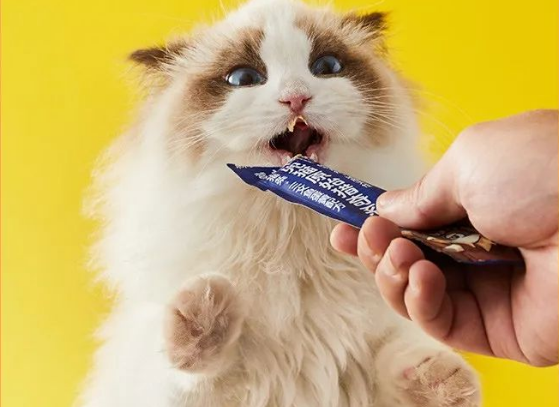 林兜猫|只做高品质宠物食品 林兜猫|只做高品质宠物食品