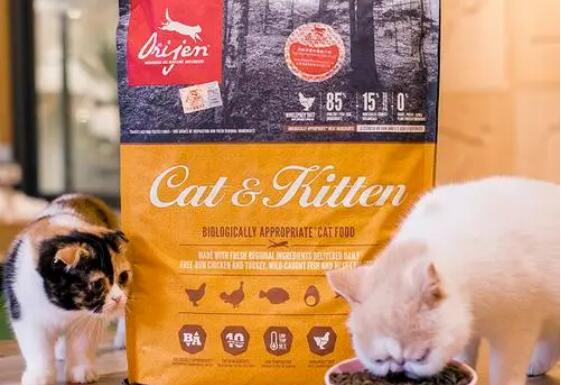猫粮百利和渴望哪个好 猫粮百利和渴望哪个好