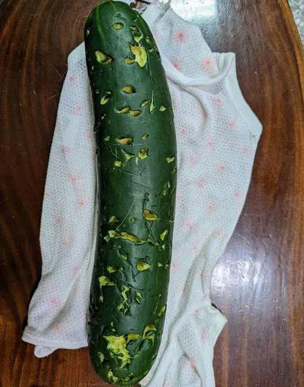 狗子把黄瓜啃成艺术品,主人看后傻眼:欢迎竞标! 狗子把黄瓜啃成艺术品,主人看后傻眼:欢迎竞标!