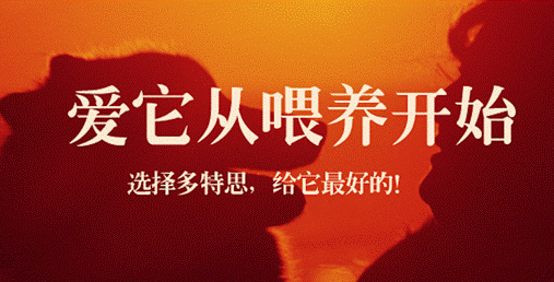 多特思——做宠物行业的规则改变者