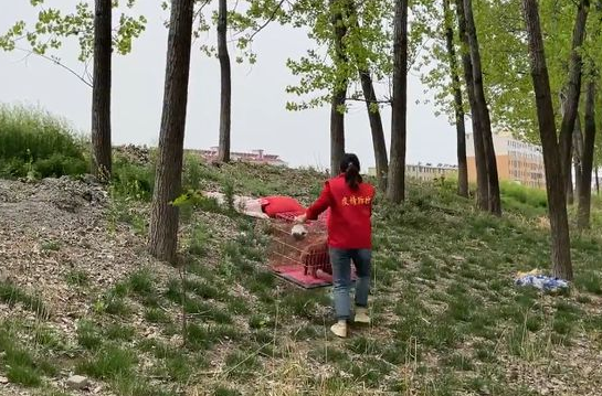 送物资发现流浪狗,毛发被烧焦浑身脏兮兮,即使再难也不放弃救助 送物资发现流浪狗,毛发被烧焦浑身脏兮兮,即使再难也不放弃救助