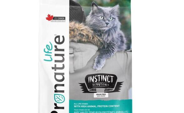 枫趣猫粮推荐哪一款 枫趣猫粮推荐哪一款