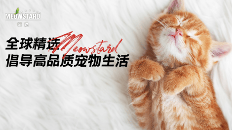 专注宠物生活十余载,喵达致力打造“三高产品” ——高品质、高销量、高口碑 专注宠物生活十余载,喵达致力打造“三高产品” ——高品质、高销量、高口碑